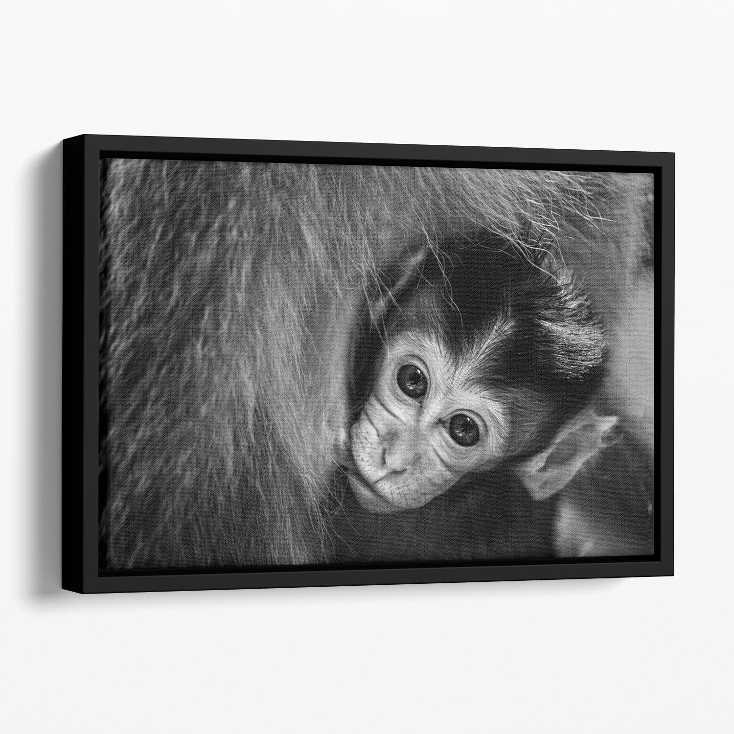 A Mothers Love Floating Framed Canvas - 1x - 1