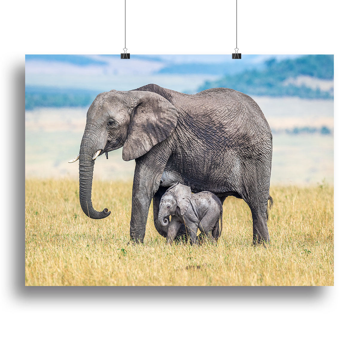 A wee one Canvas Print or Poster - 1x - 2