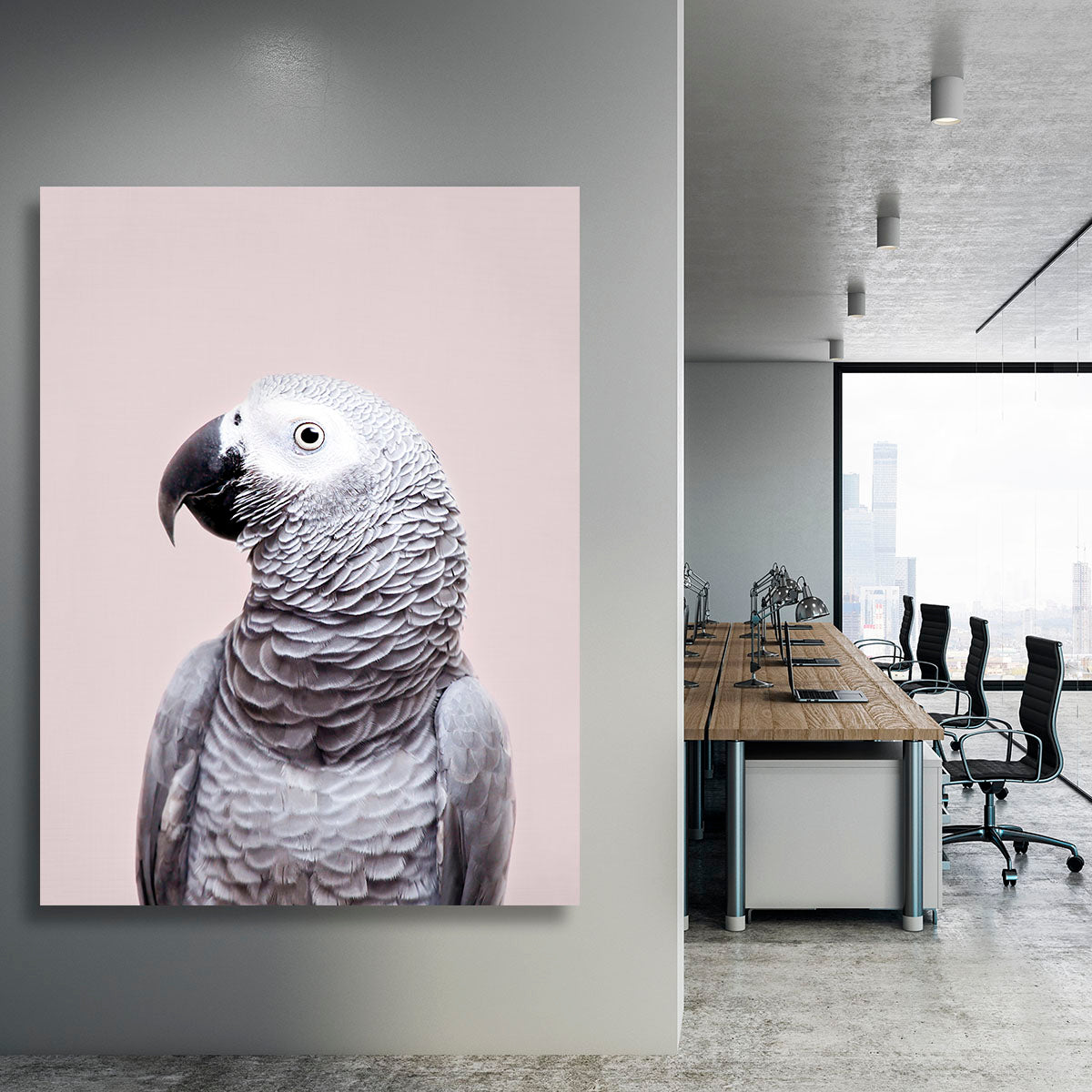 African Grey Canvas Print or Poster - 1x - 3
