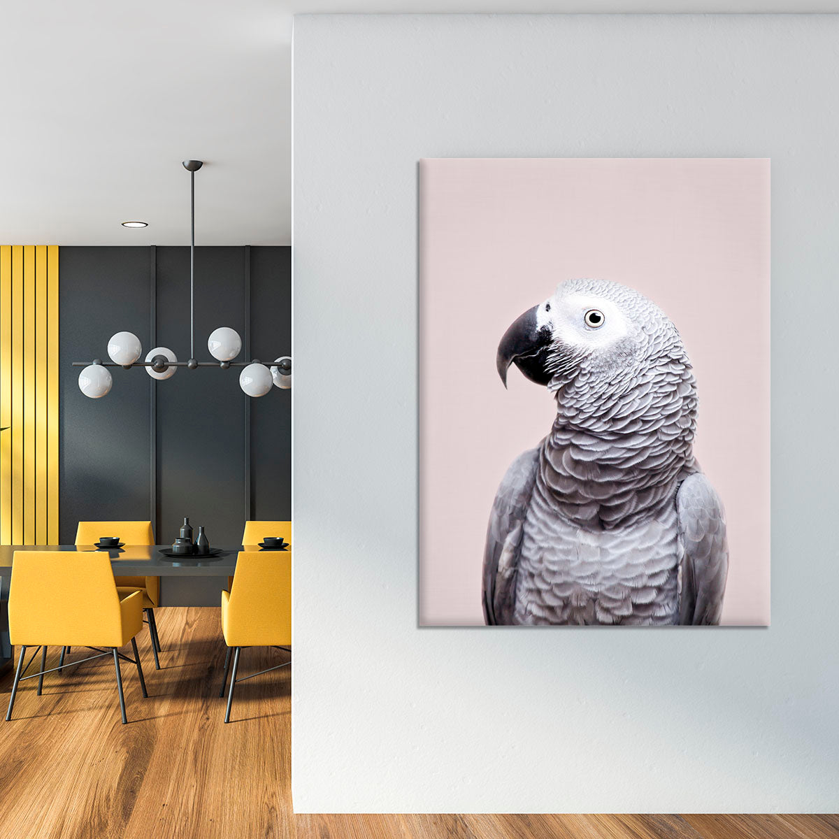 African Grey Canvas Print or Poster - 1x - 4