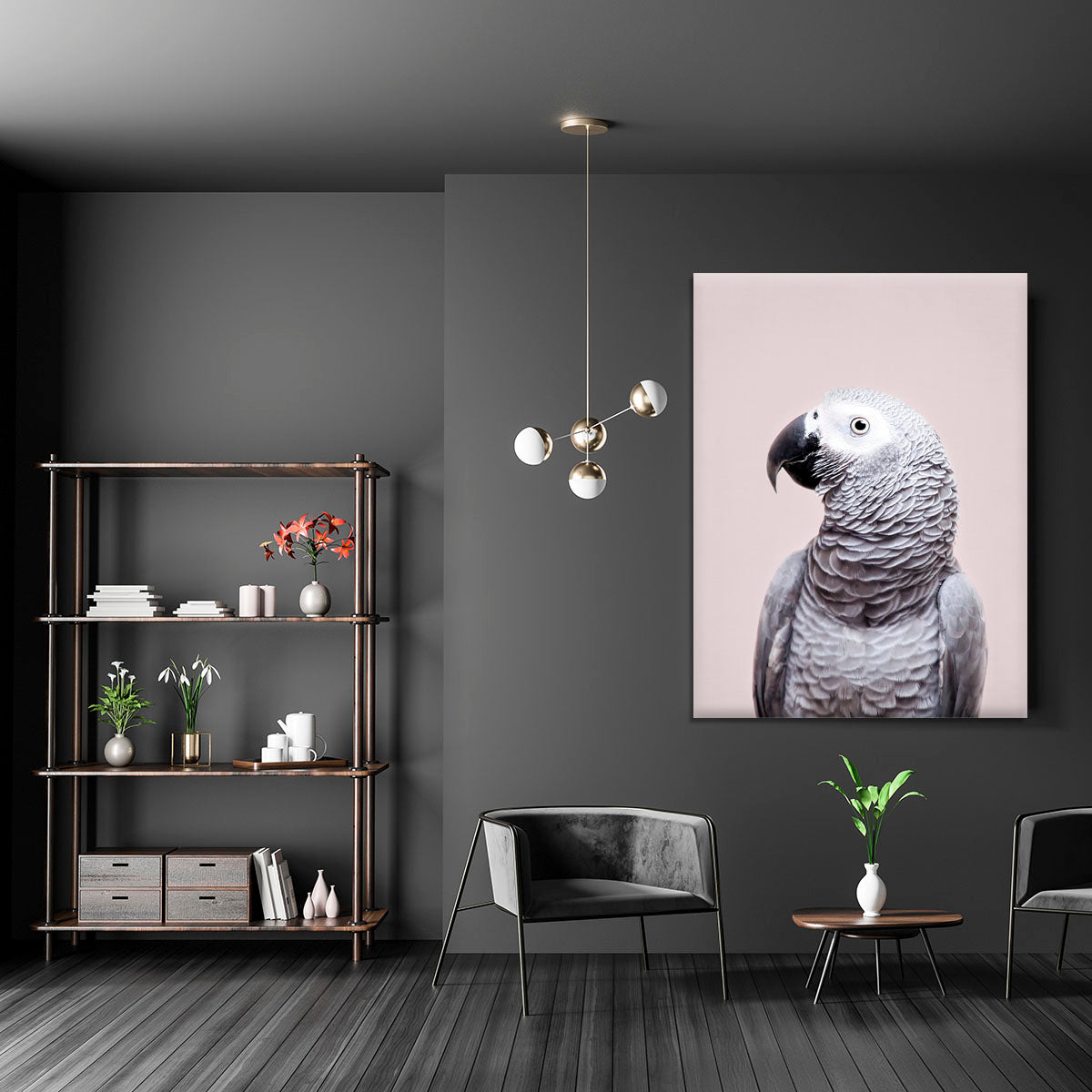 African Grey Canvas Print or Poster - 1x - 5
