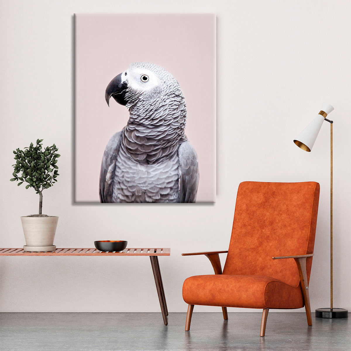 African Grey Canvas Print or Poster - 1x - 6