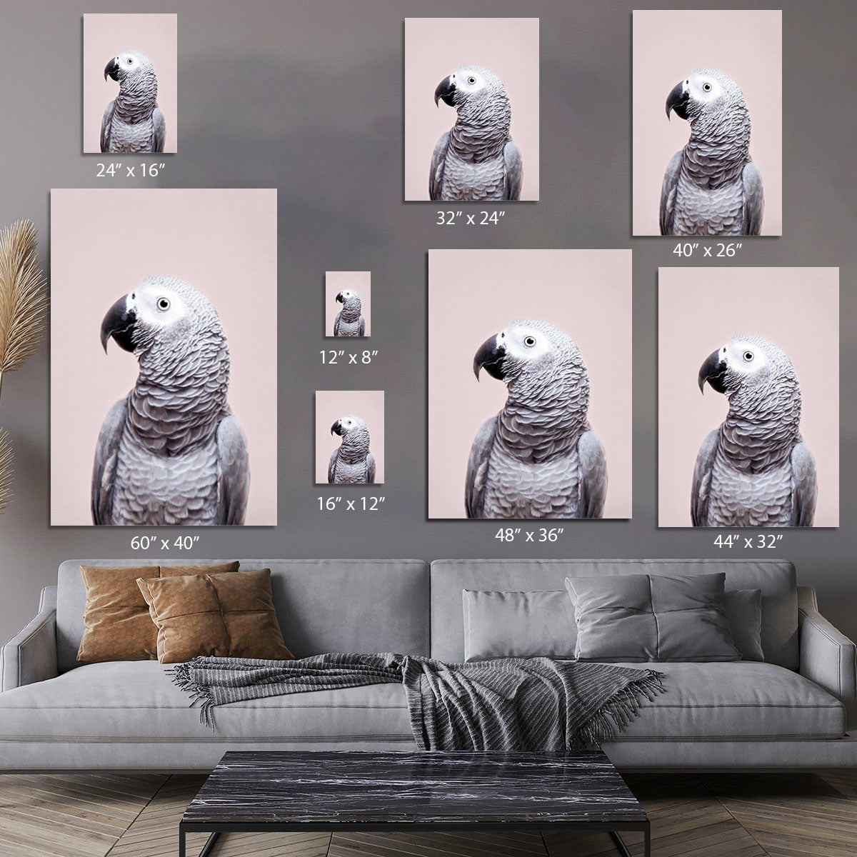 African Grey Canvas Print or Poster - 1x - 7