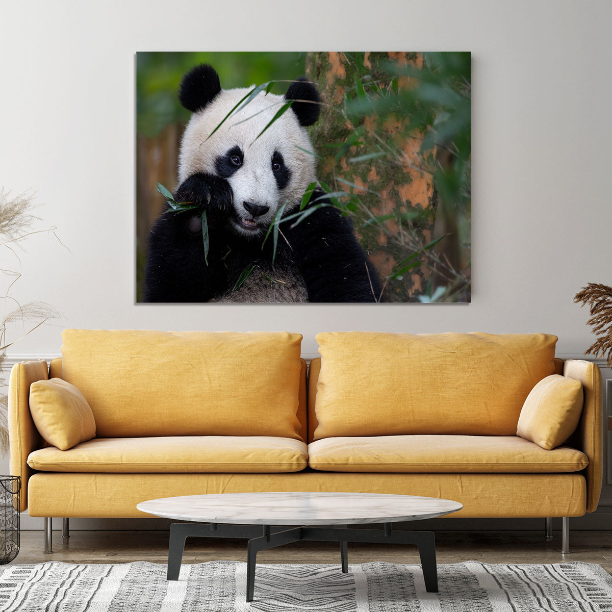 Bamboo Time Canvas Print or Poster - 1x - 4