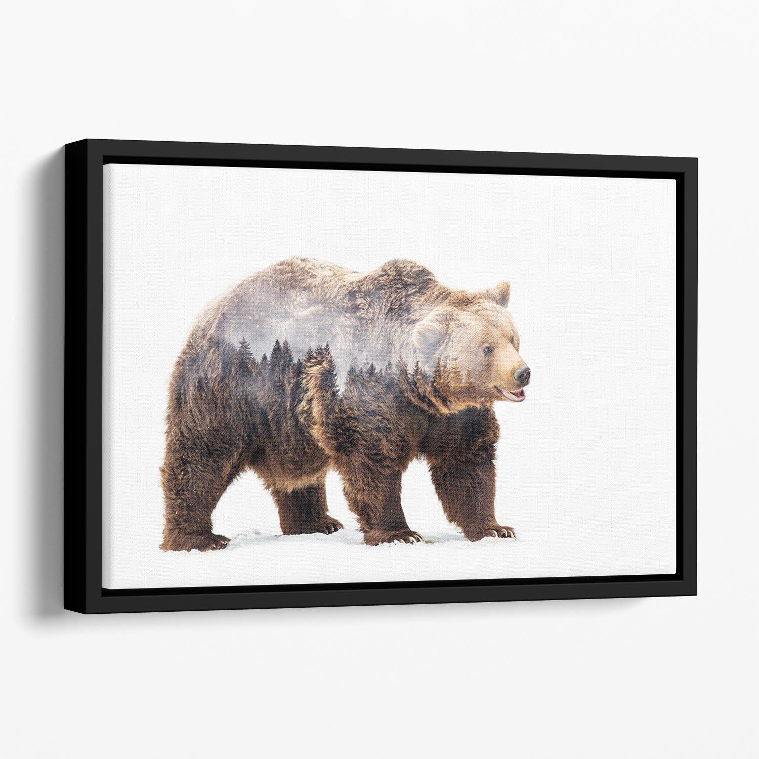 Bear Floating Framed Canvas - 1x - 1