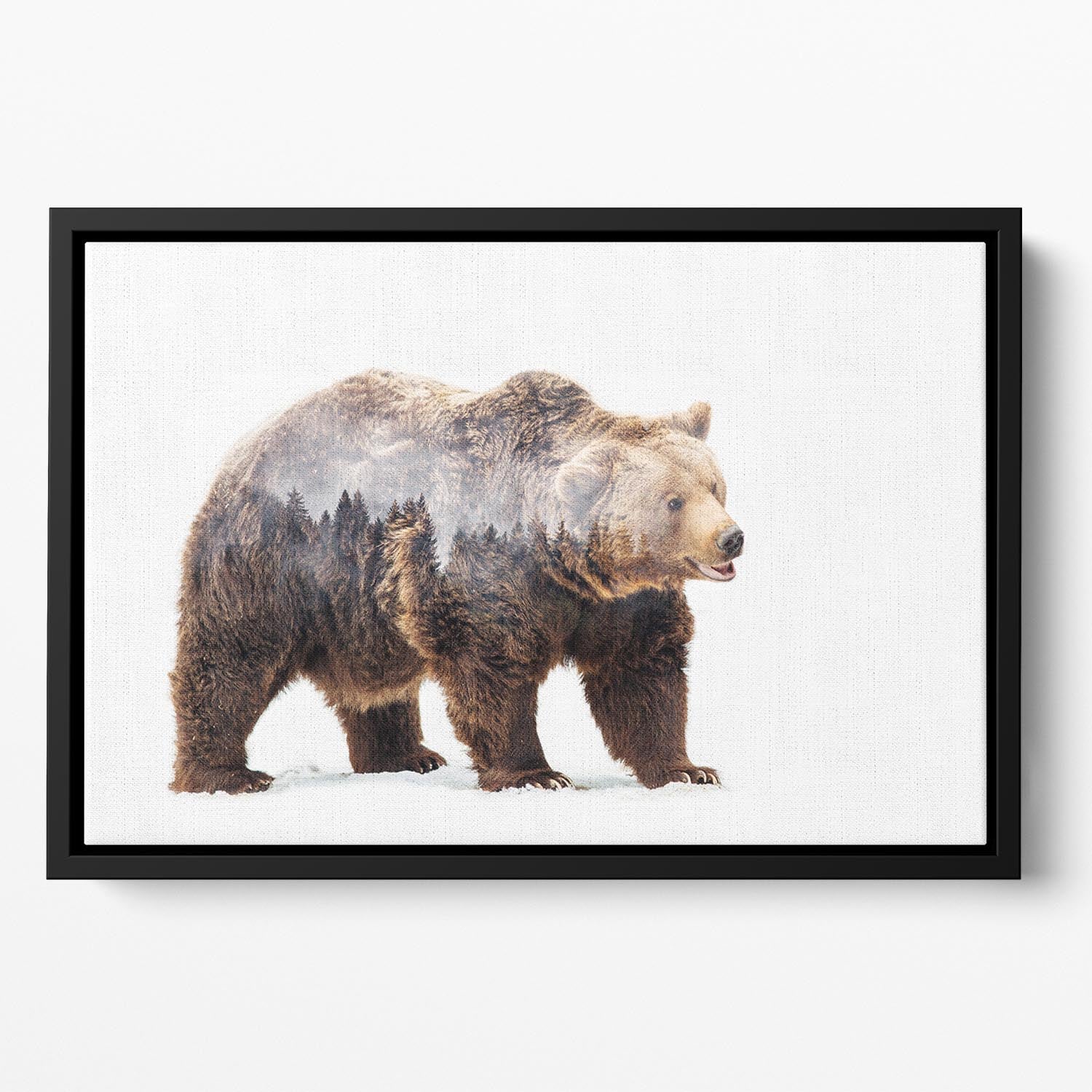 Bear Floating Framed Canvas - 1x - 2