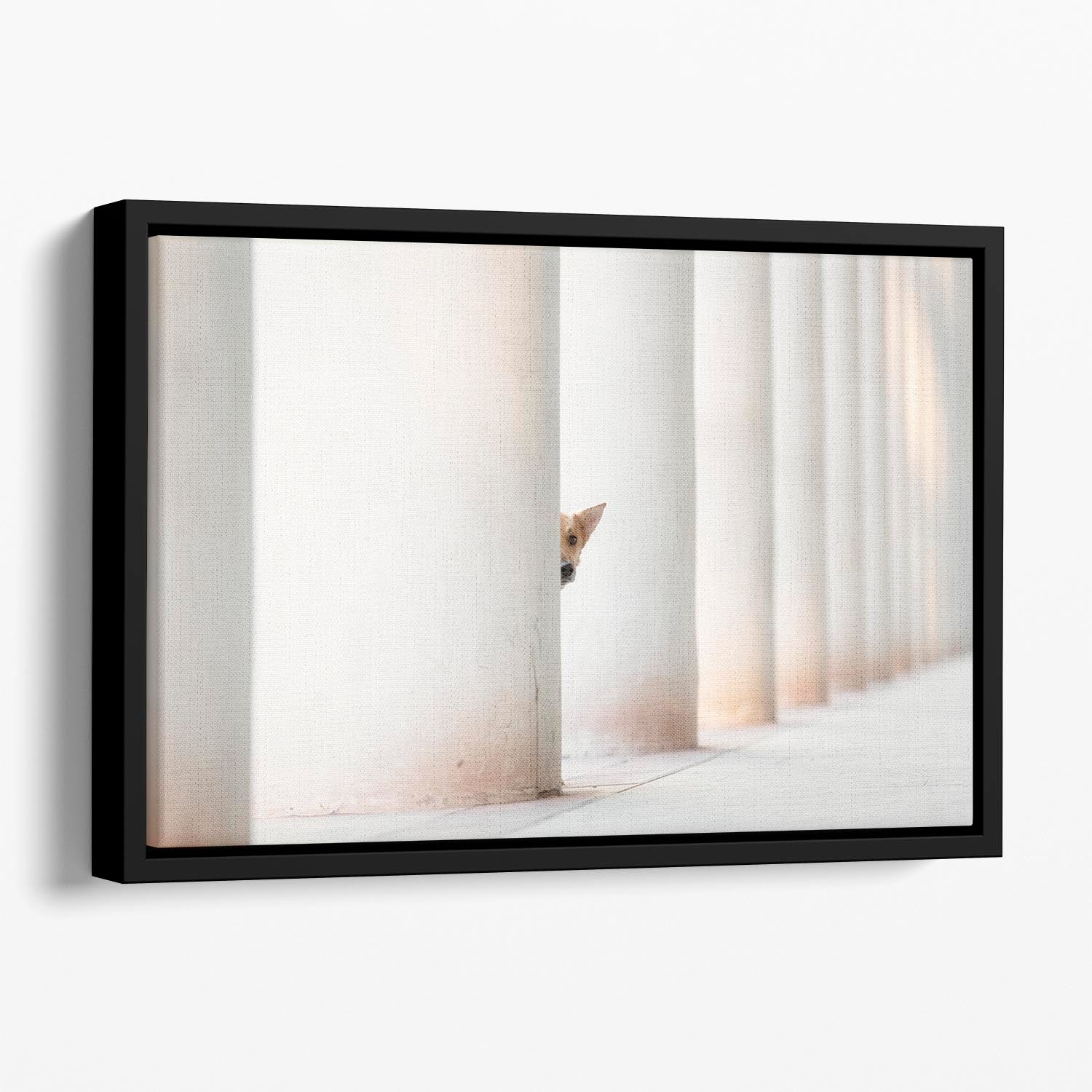 Bella and the Pillars of the Earth Floating Framed Canvas - 1x - 1