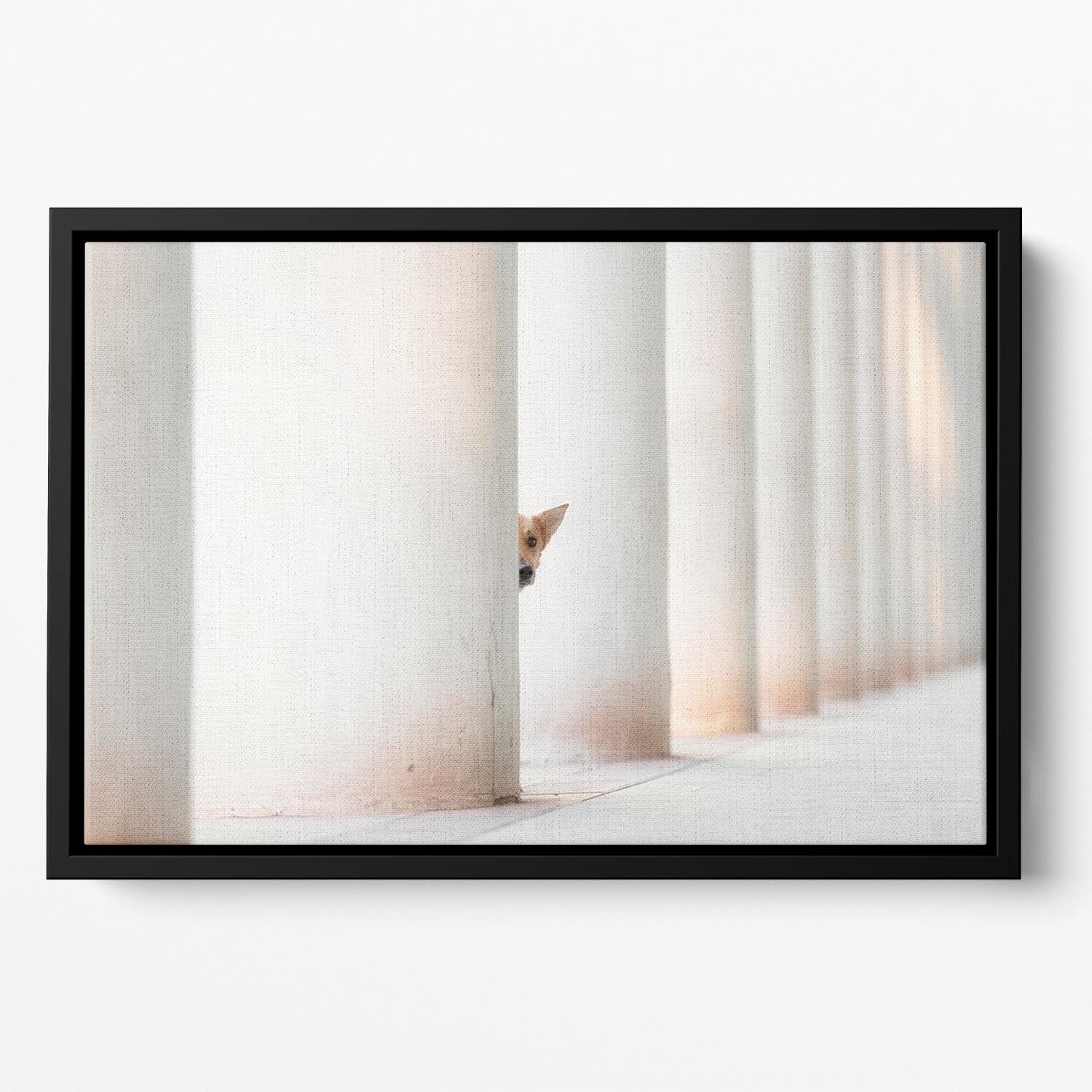 Bella and the Pillars of the Earth Floating Framed Canvas - 1x - 2
