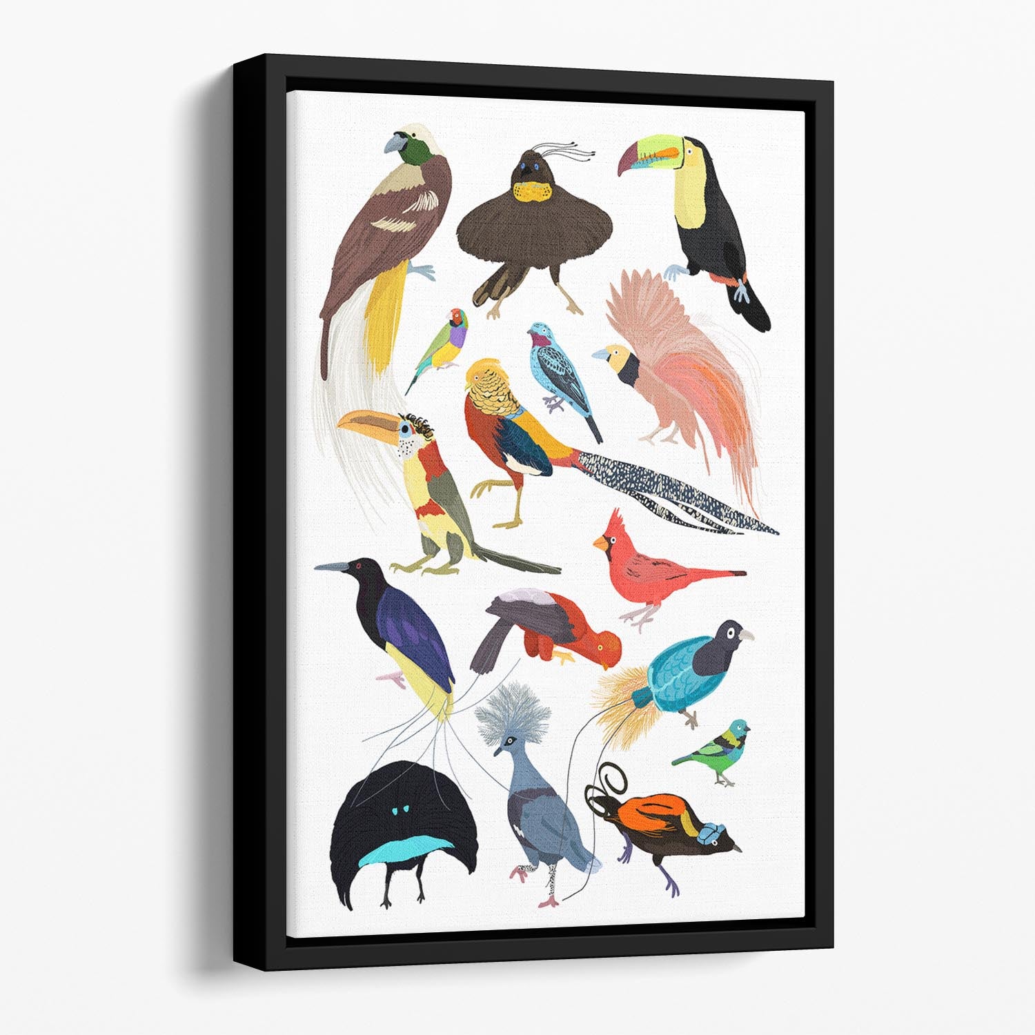Birds of Paradise Floating Framed Canvas - 1x - 1