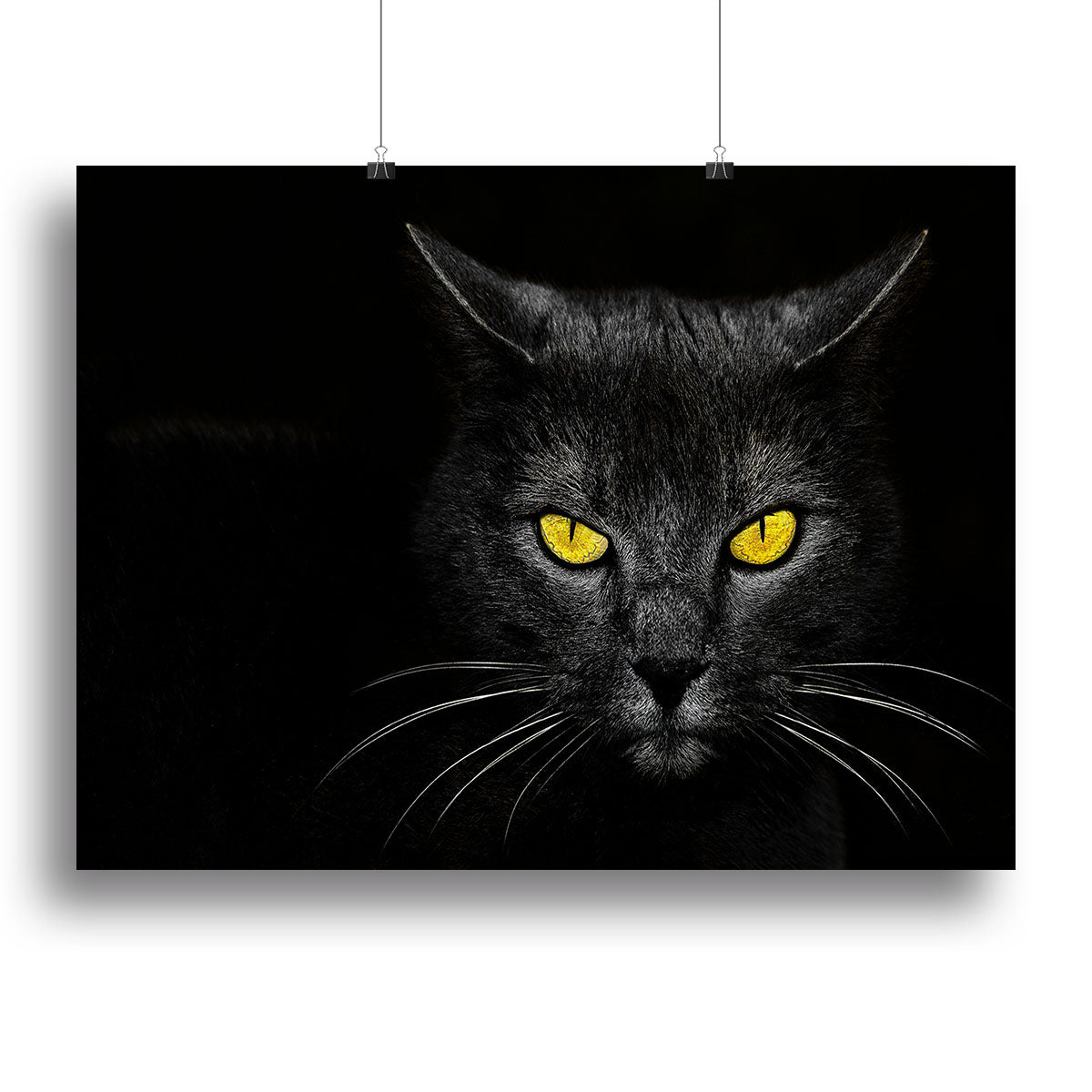 Black Cat Canvas Print or Poster - 1x - 2