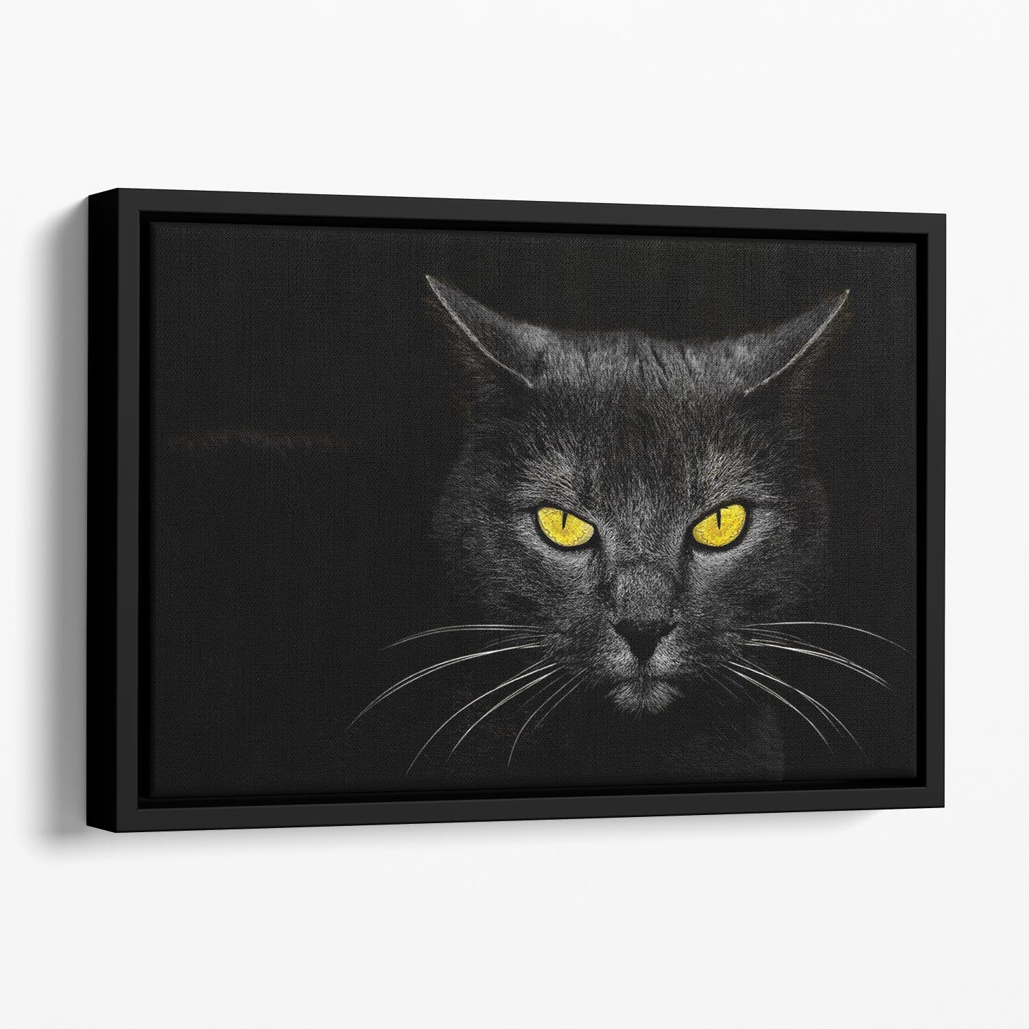 Black Cat Floating Framed Canvas - 1x - 1