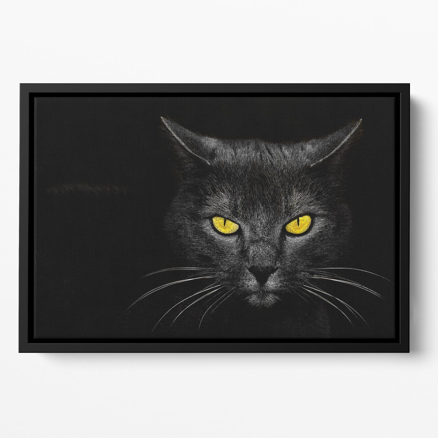 Black Cat Floating Framed Canvas - 1x - 2