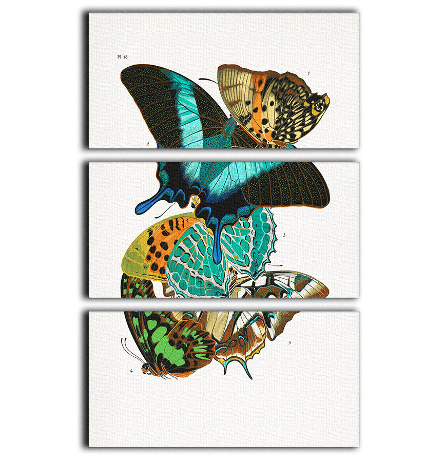 Butterflies Part 13 3 Split Panel Canvas Print - Canvas Art Rocks - 1