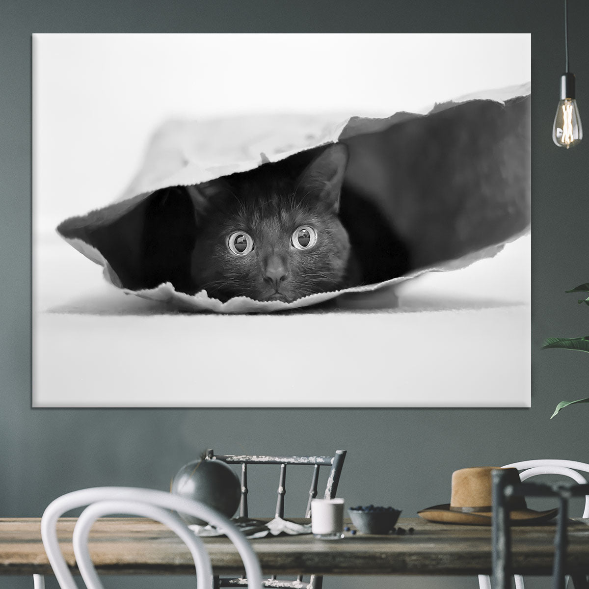 Cat in a bag Canvas Print or Poster - 1x - 3