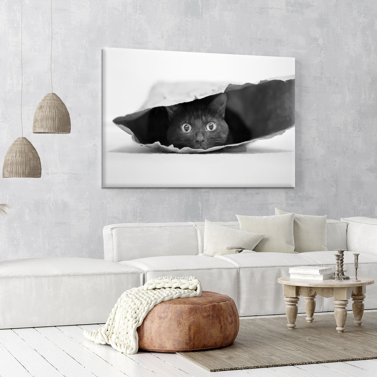 Cat in a bag Canvas Print or Poster - 1x - 6