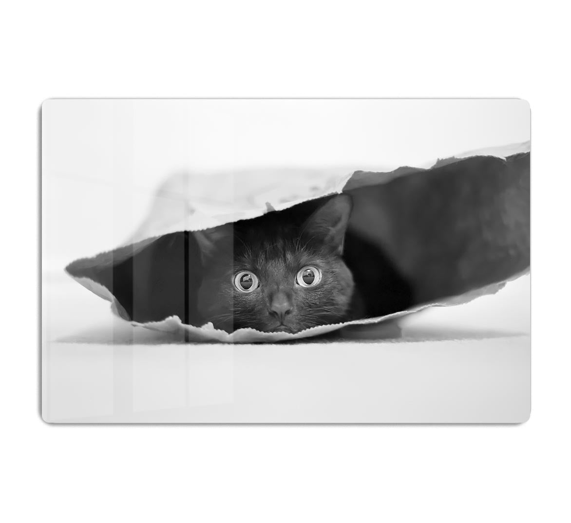 Cat in a bag Acrylic Block - 1x - 1