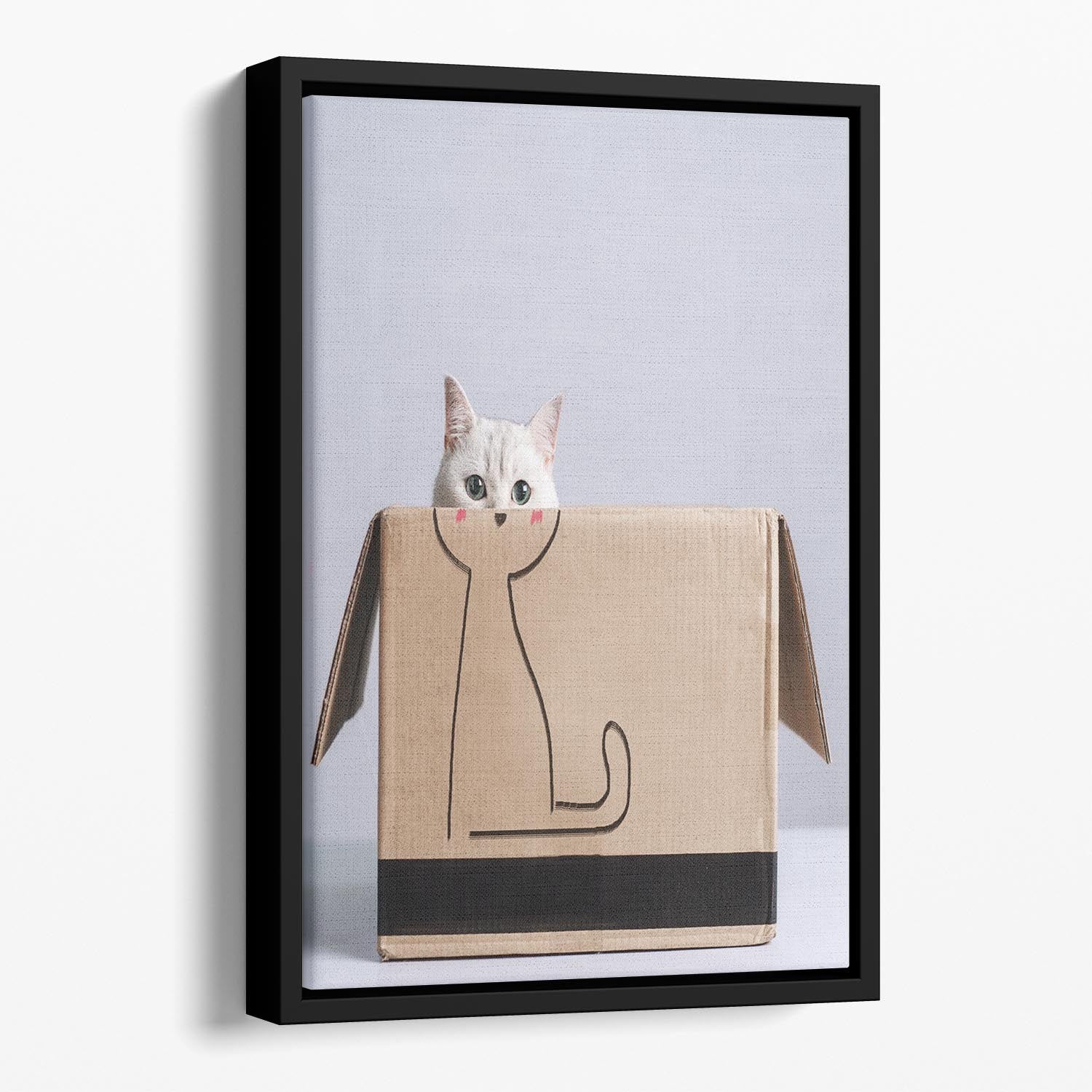 Cat in the box Floating Framed Canvas - 1x - 1