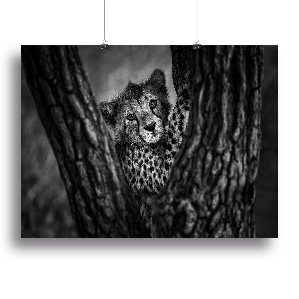 Centered Canvas Print or Poster - 1x - 2