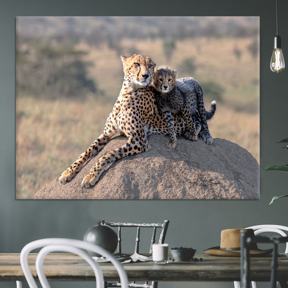 Cheetah and cup Canvas Print or Poster - 1x - 3