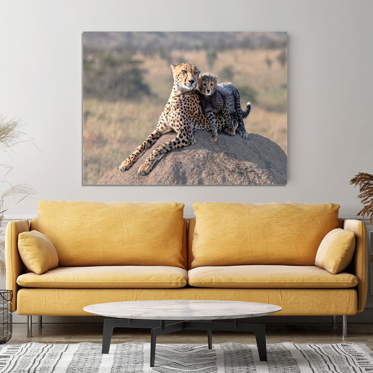 Cheetah and cup Canvas Print or Poster - 1x - 4