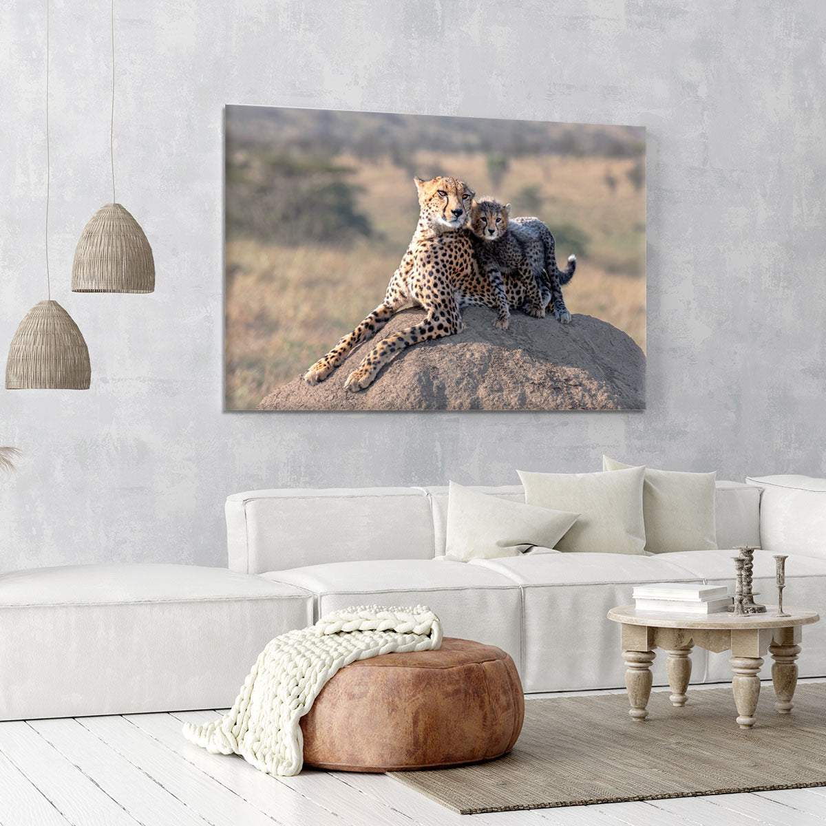 Cheetah and cup Canvas Print or Poster - 1x - 6