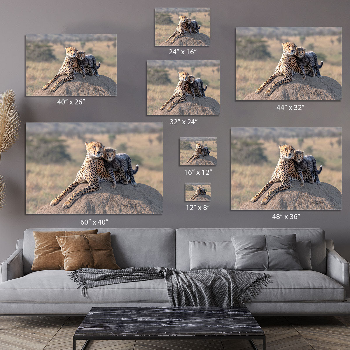 Cheetah and cup Canvas Print or Poster - 1x - 7