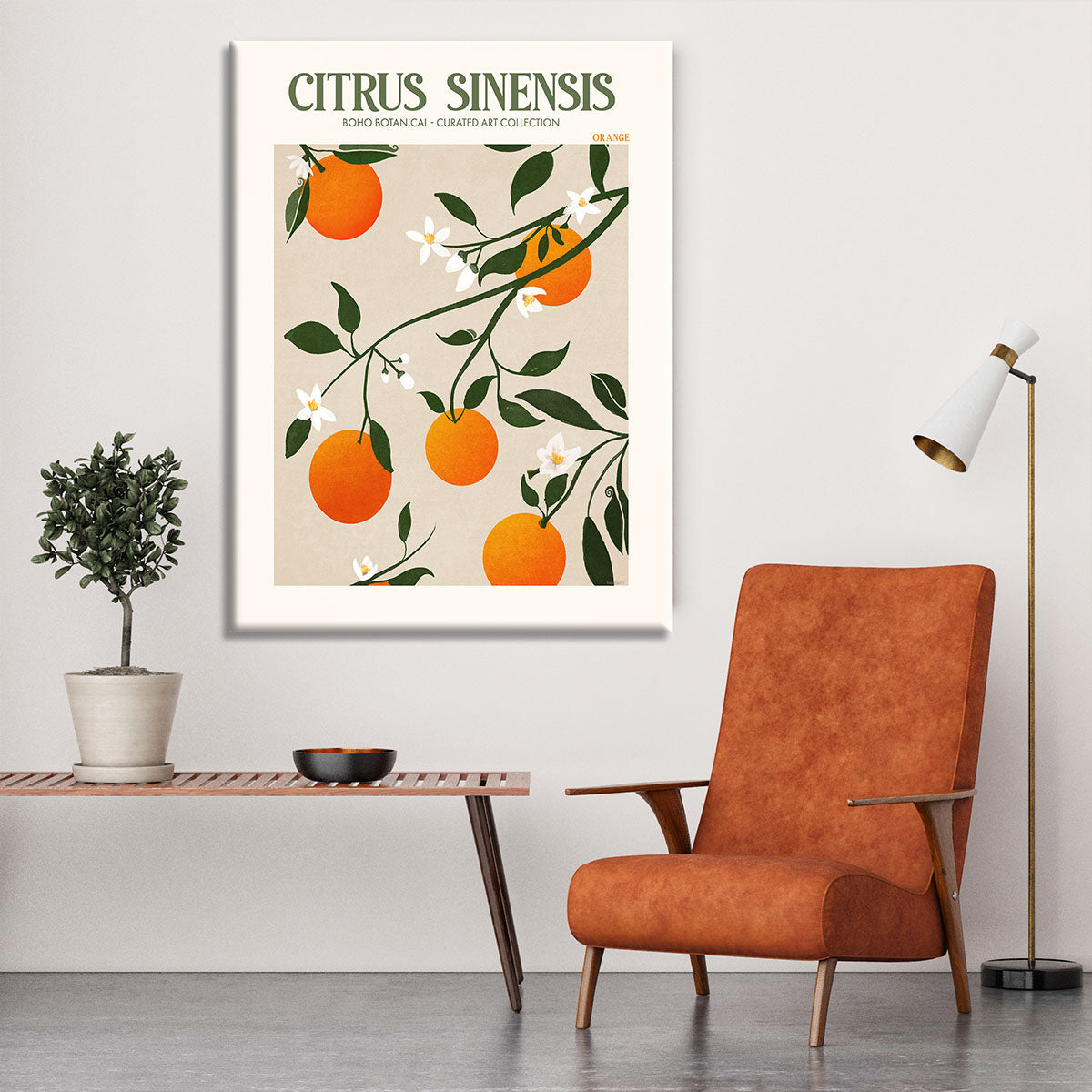 Citrus Sinensis Canvas Print or Poster - Canvas Art Rocks - 6