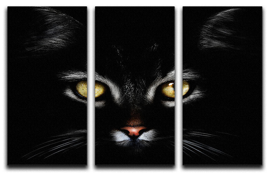 Close Up Cat 3 Split Panel Canvas Print - 1x - 1