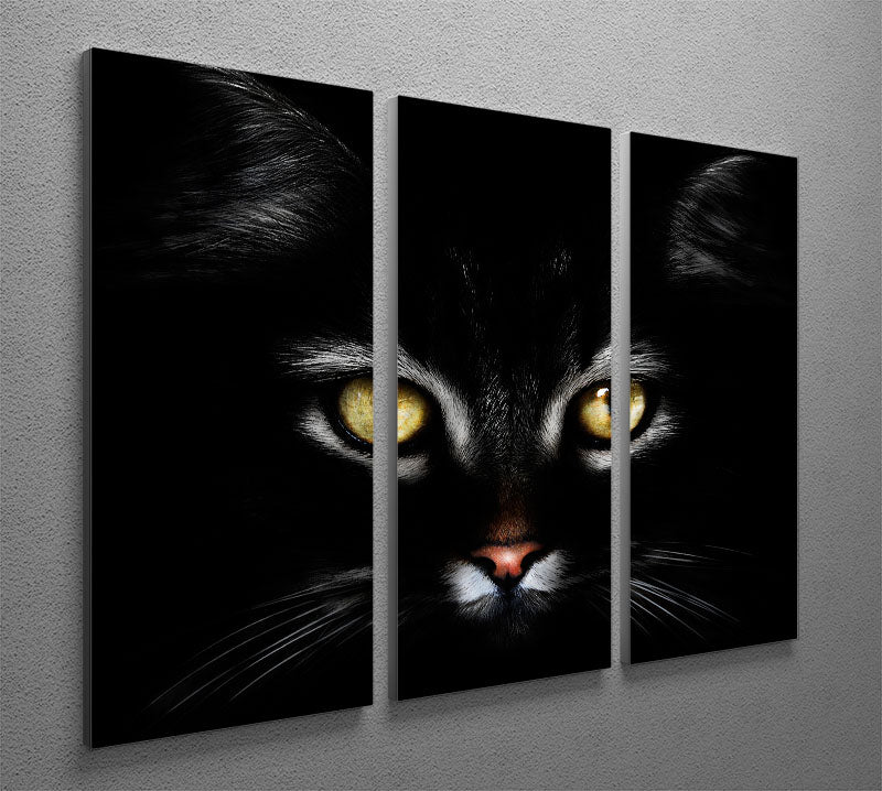 Close Up Cat 3 Split Panel Canvas Print - 1x - 2