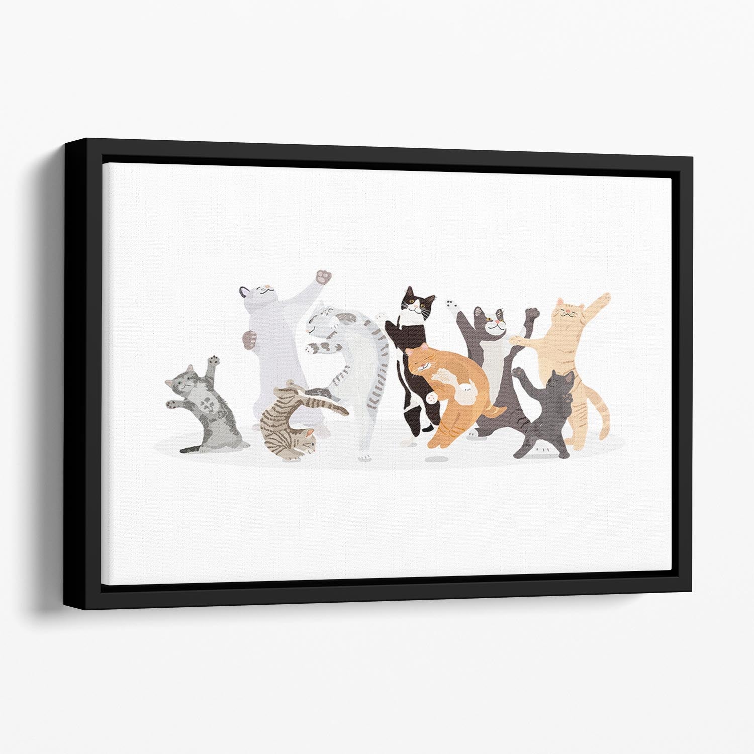 Dancing Cat Floating Framed Canvas - 1x - 1