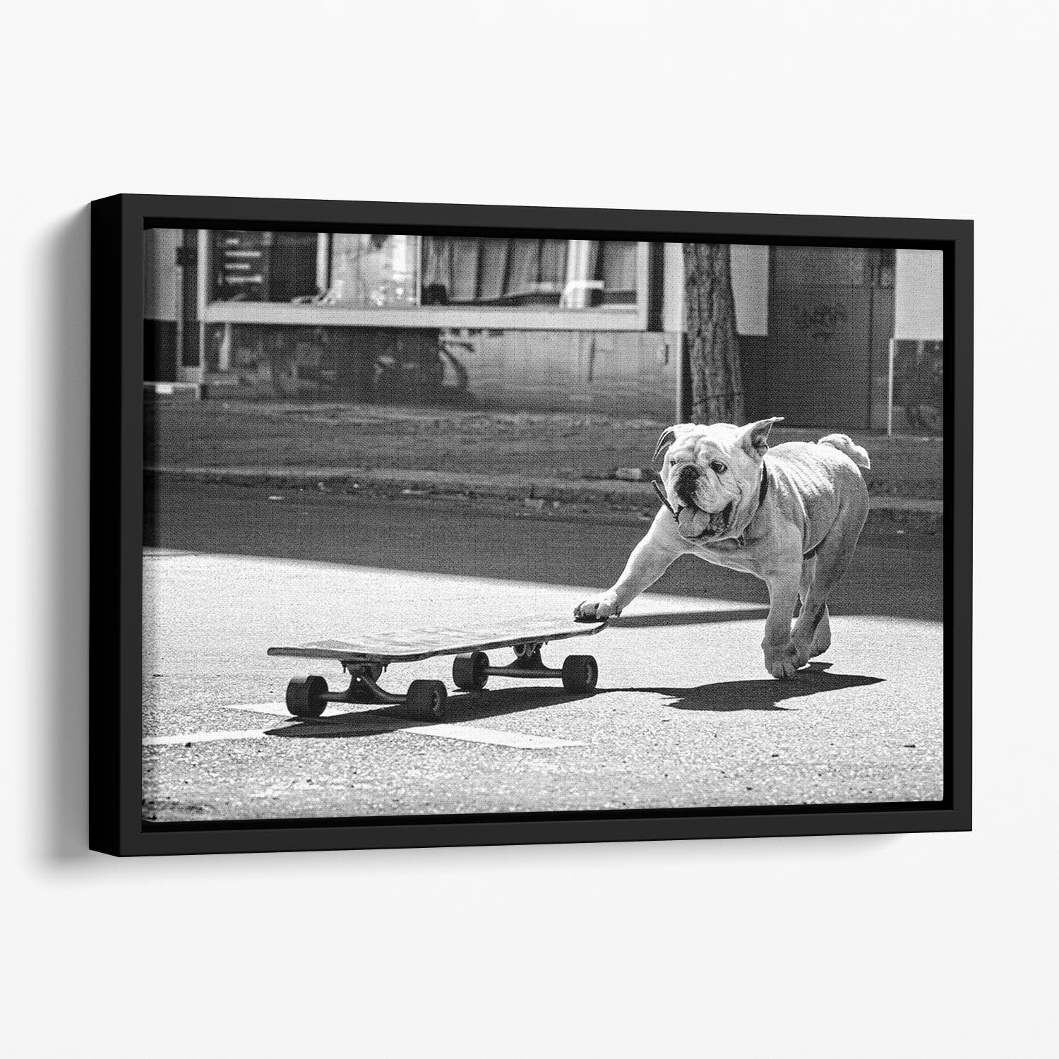 Dogs Just To Have Fun Floating Framed Canvas - 1x - 1