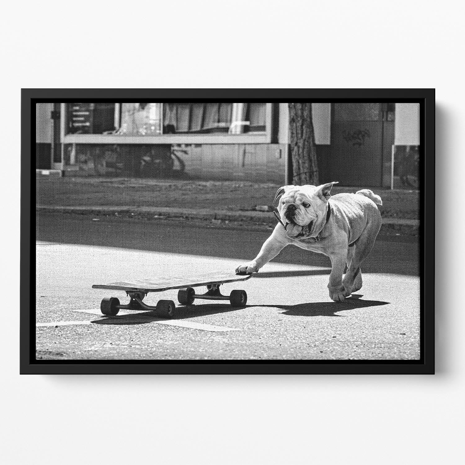 Dogs Just To Have Fun Floating Framed Canvas - 1x - 2