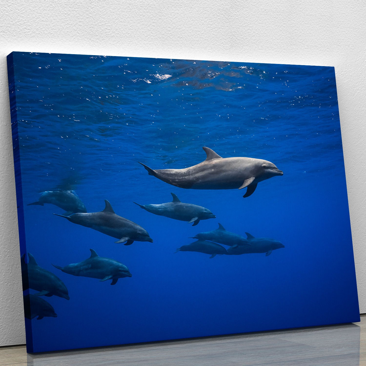 Dolphins Canvas Print or Poster - 1x - 1
