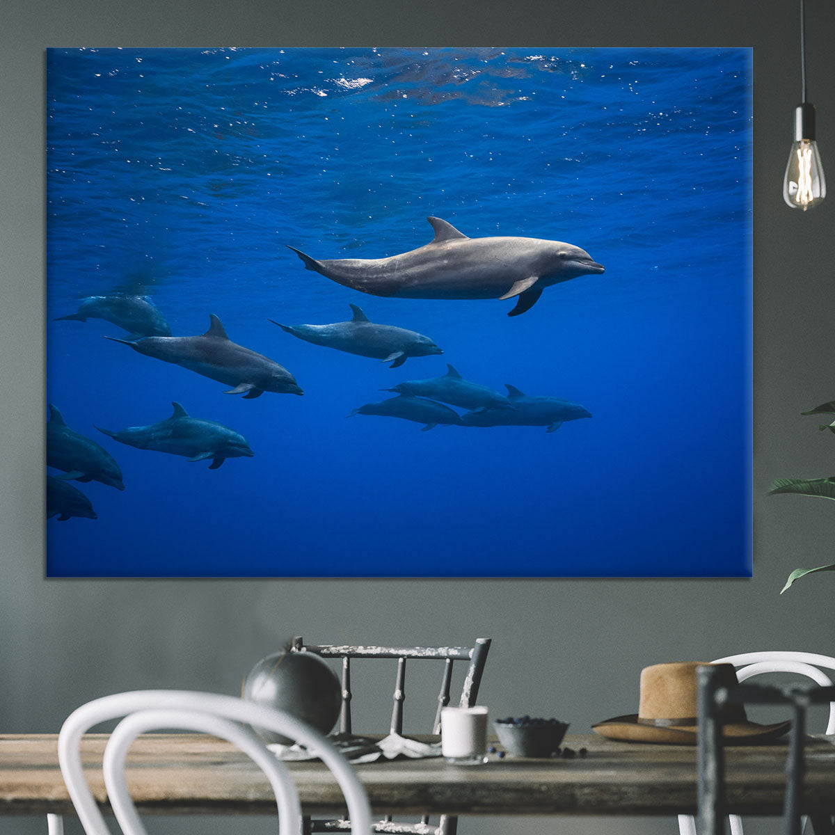 Dolphins Canvas Print or Poster - 1x - 3