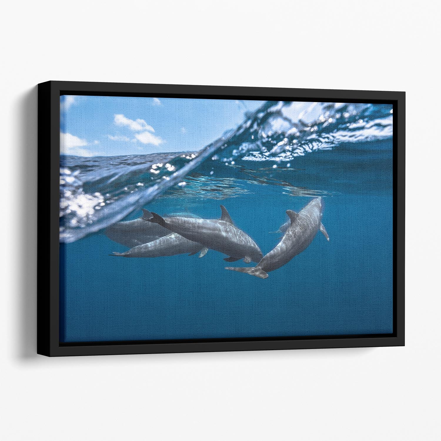 Dolphins Jumping Floating Framed Canvas - 1x - 1