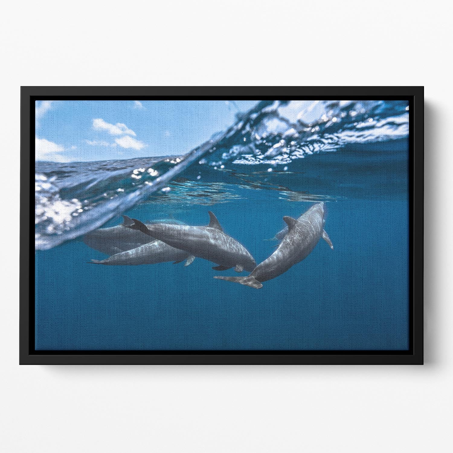 Dolphins Jumping Floating Framed Canvas - 1x - 2