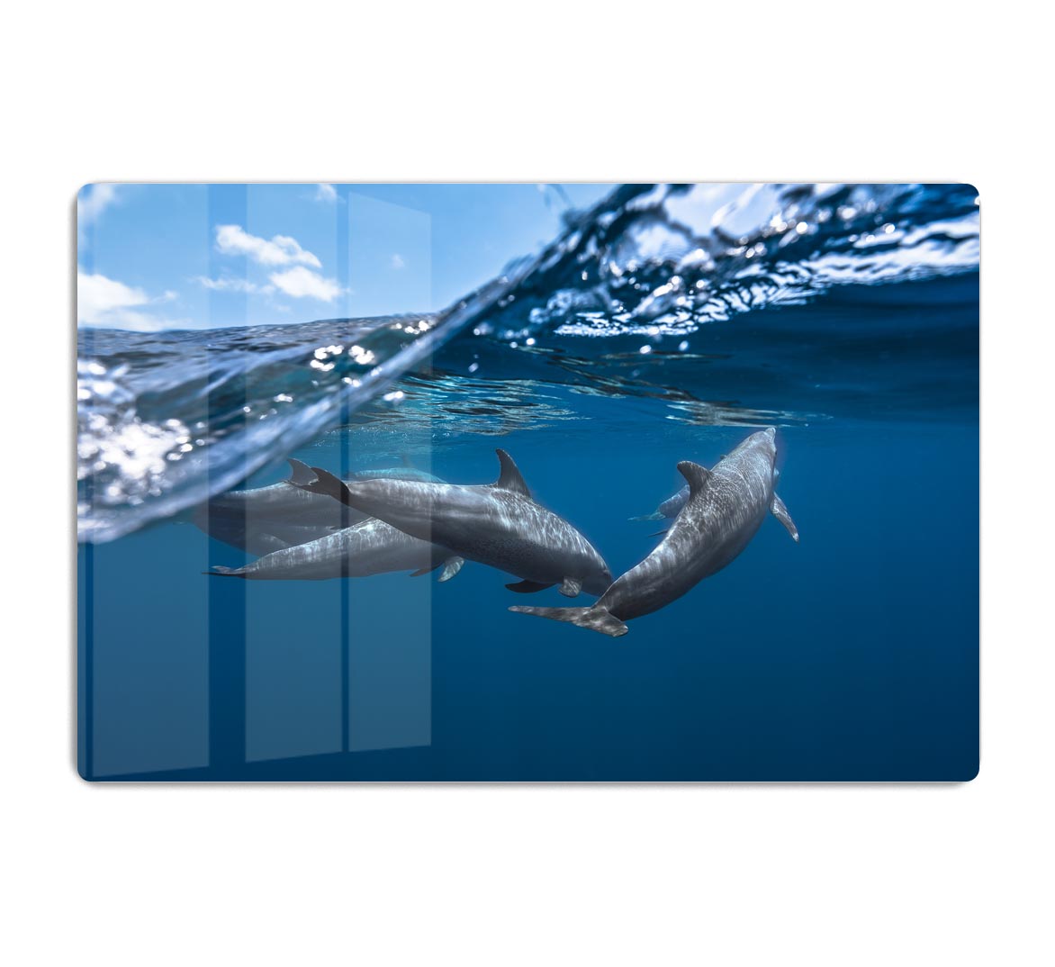 Dolphins Jumping Acrylic Block - 1x - 1