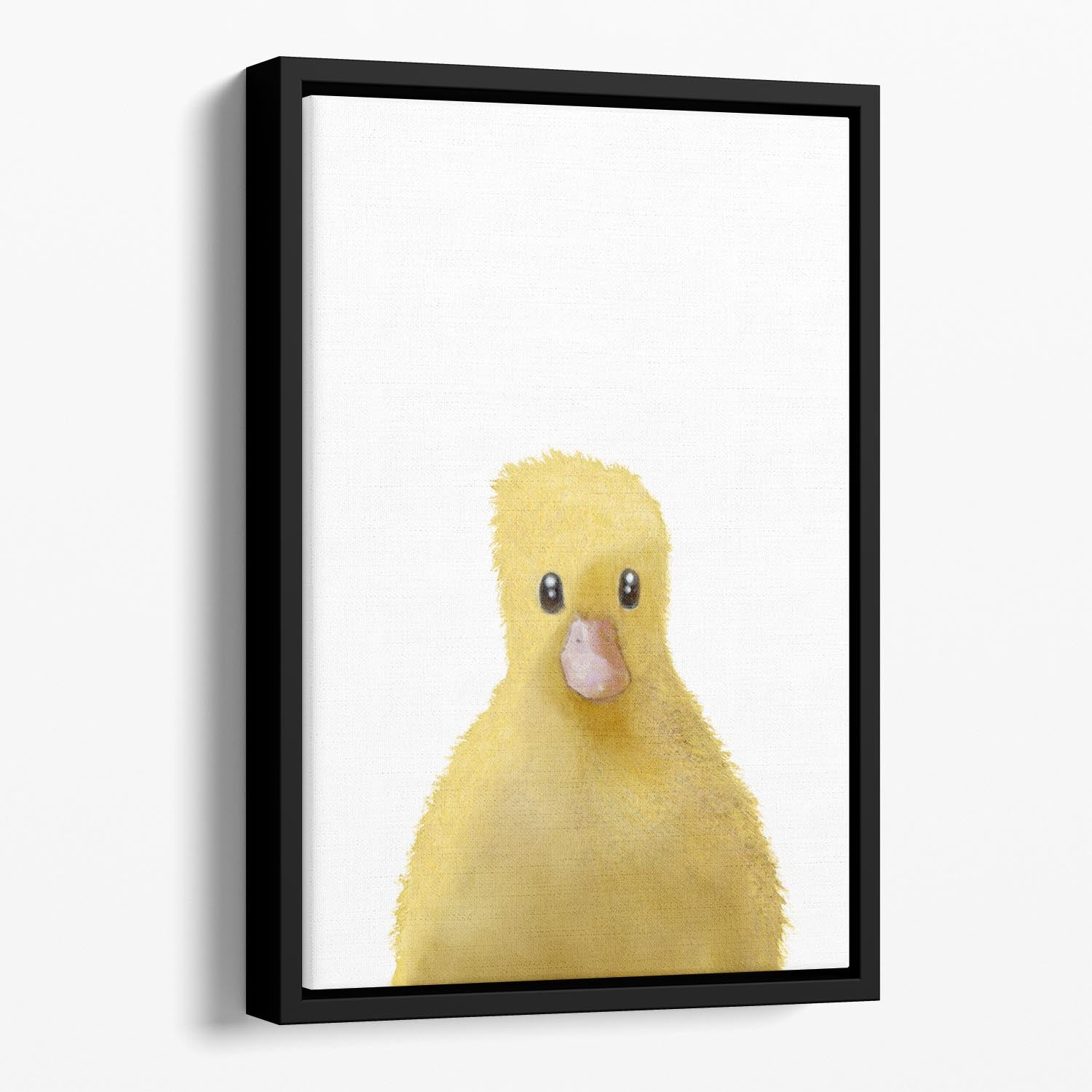Duck Floating Framed Canvas - 1x - 1