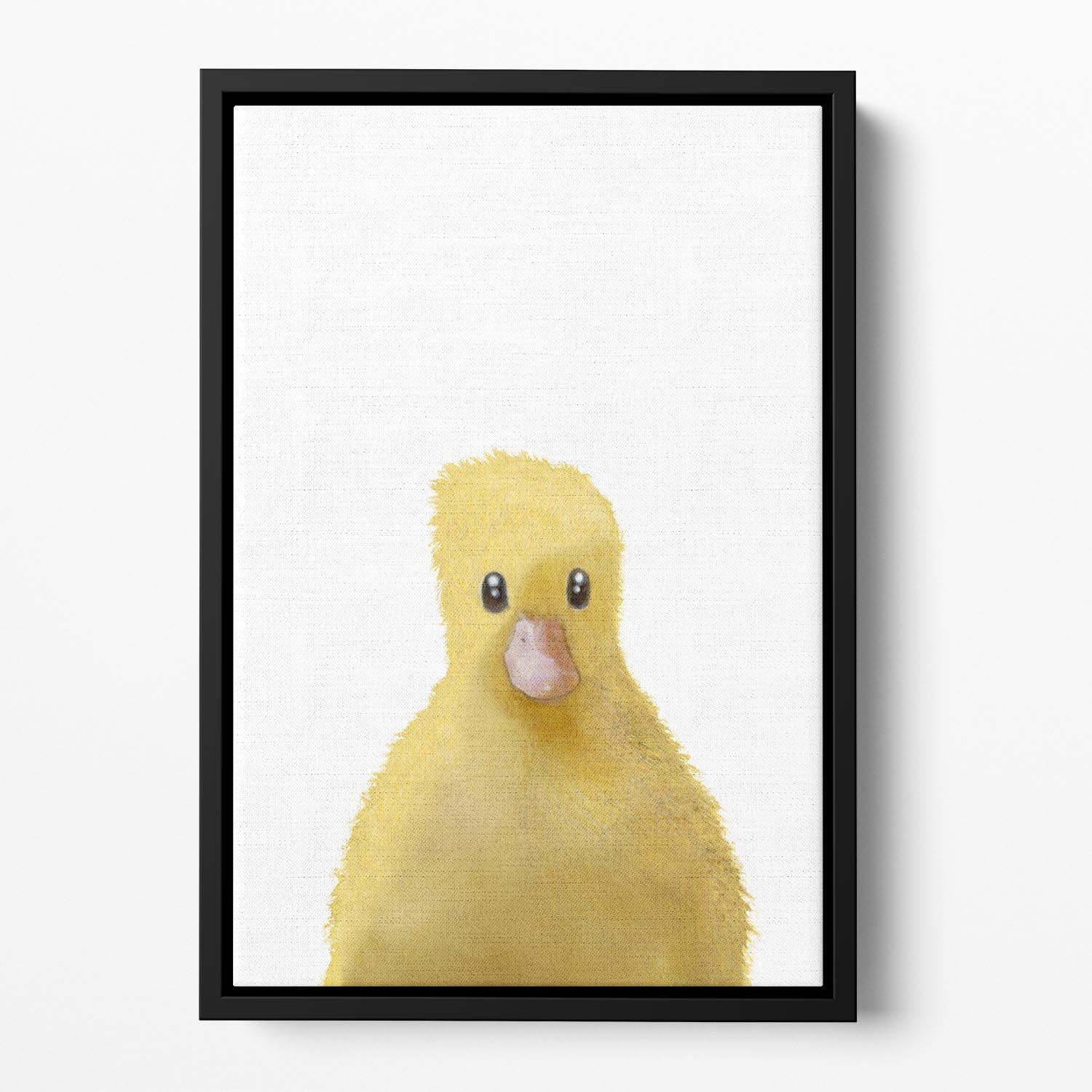 Duck Floating Framed Canvas - 1x - 2
