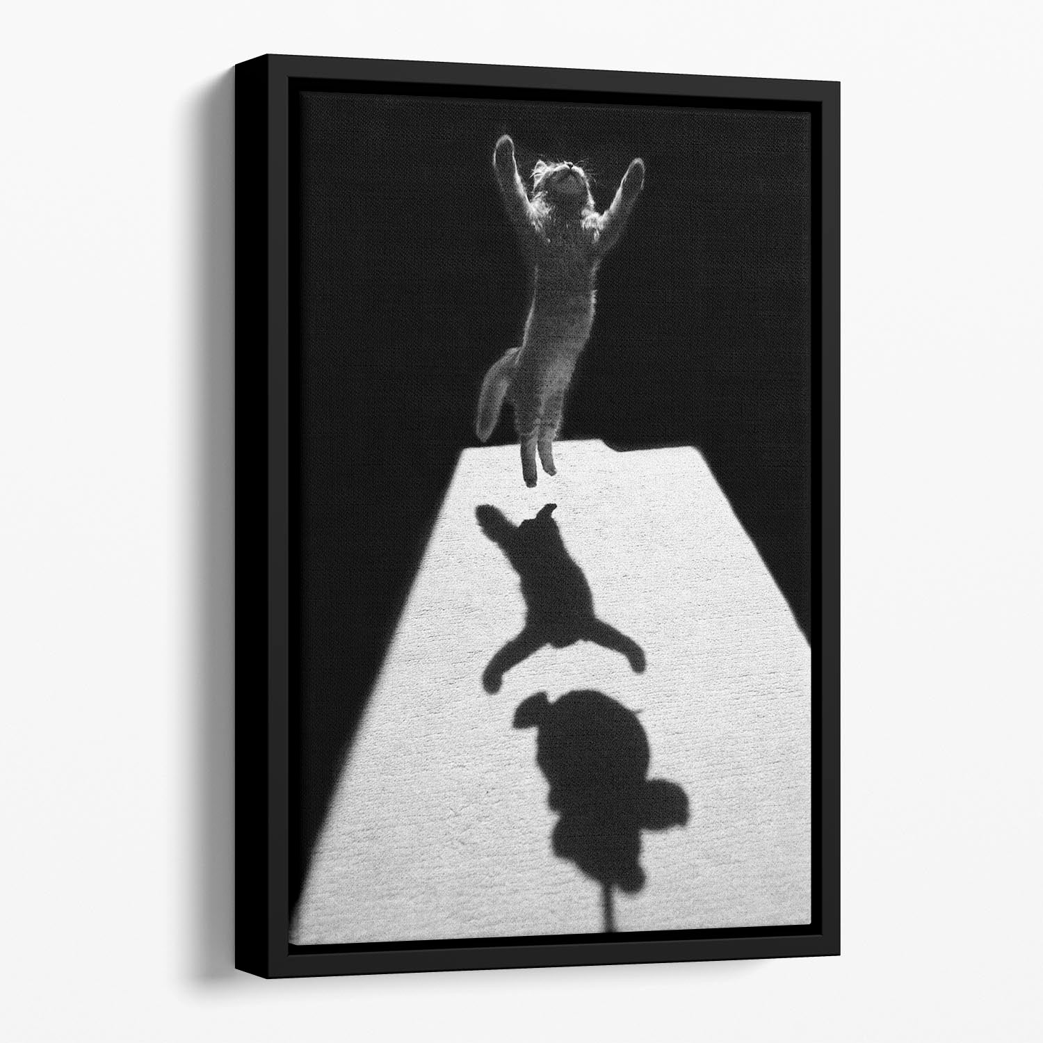 Edgar the great Floating Framed Canvas - 1x - 1