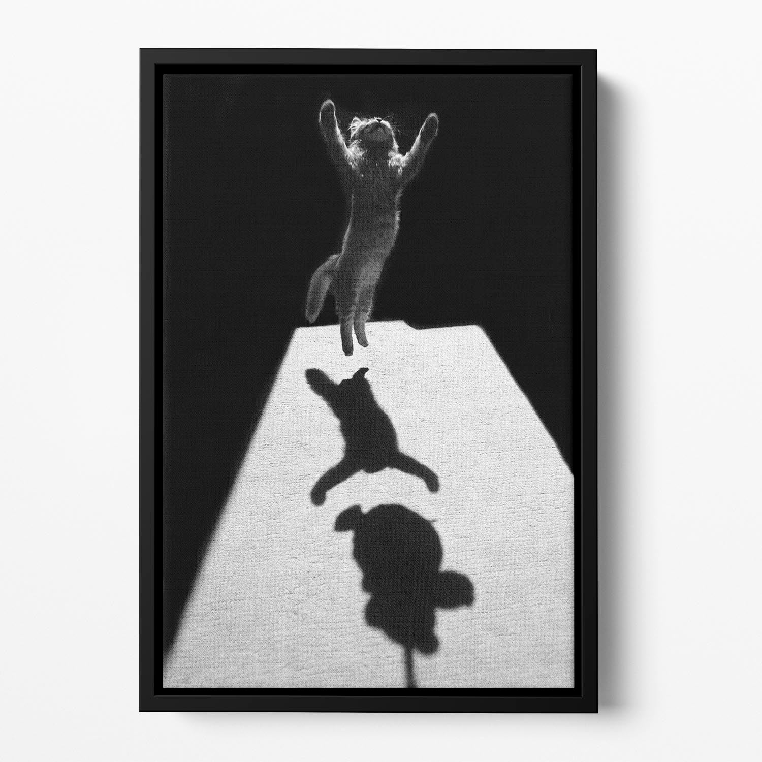 Edgar the great Floating Framed Canvas - 1x - 2