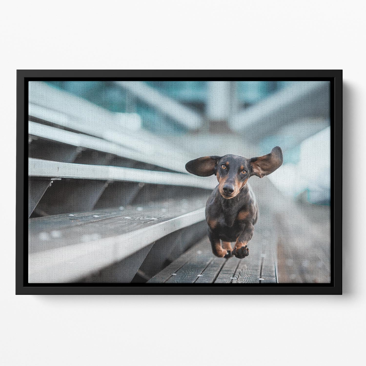 Ein kleiner Hund lAcuft durch die Welt Floating Framed Canvas - 1x - 2