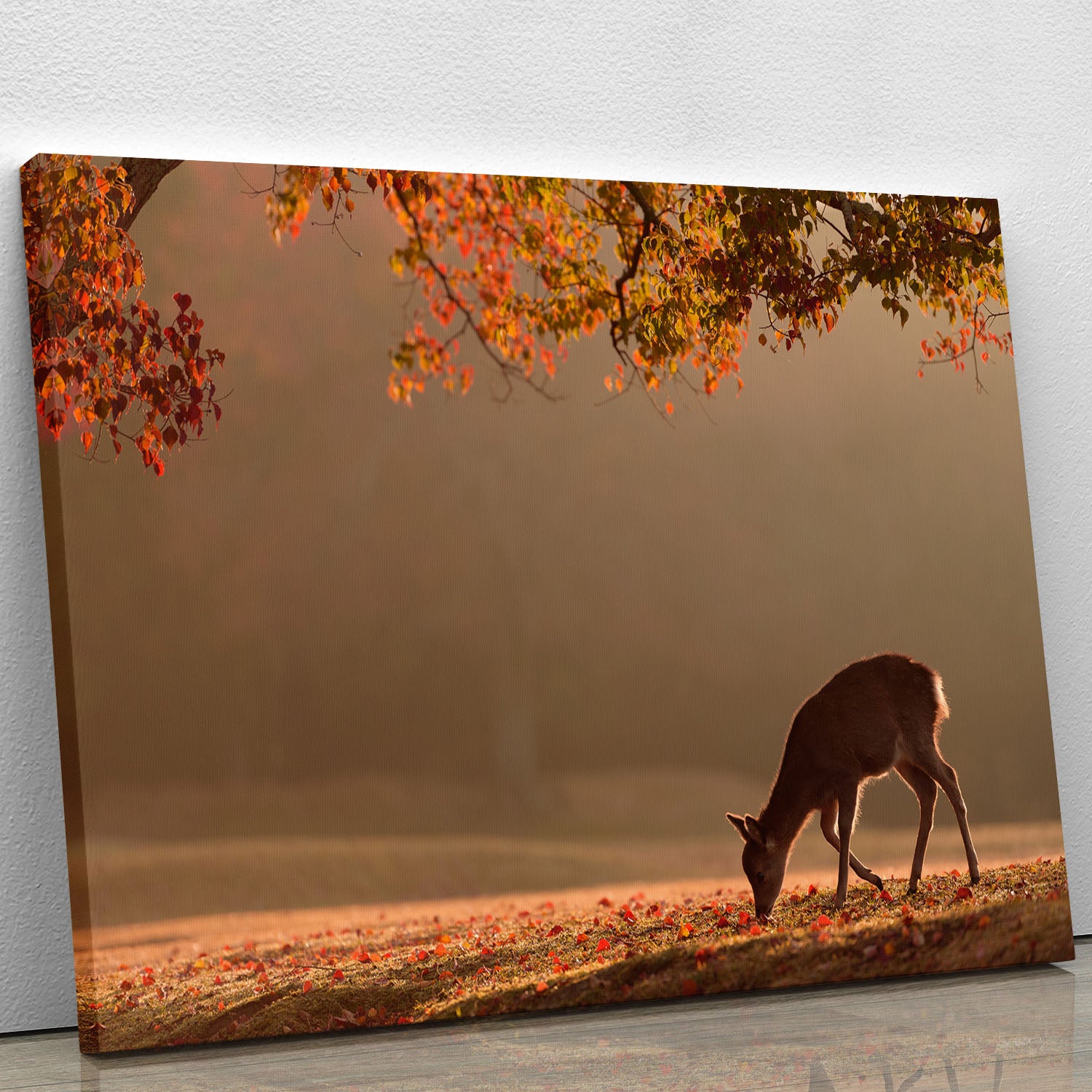 First Autumn Canvas Print or Poster - 1x - 1