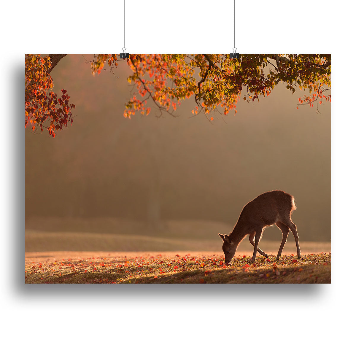First Autumn Canvas Print or Poster - 1x - 2