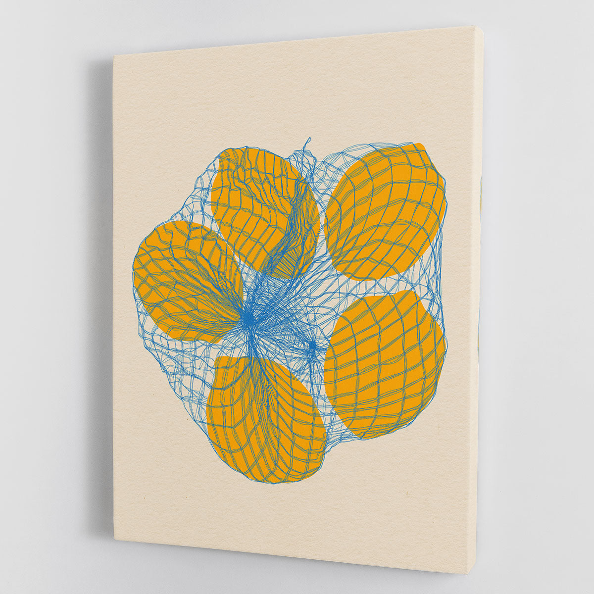 Five Lemons In a Net Bag Canvas Print or Poster - Canvas Art Rocks - 1