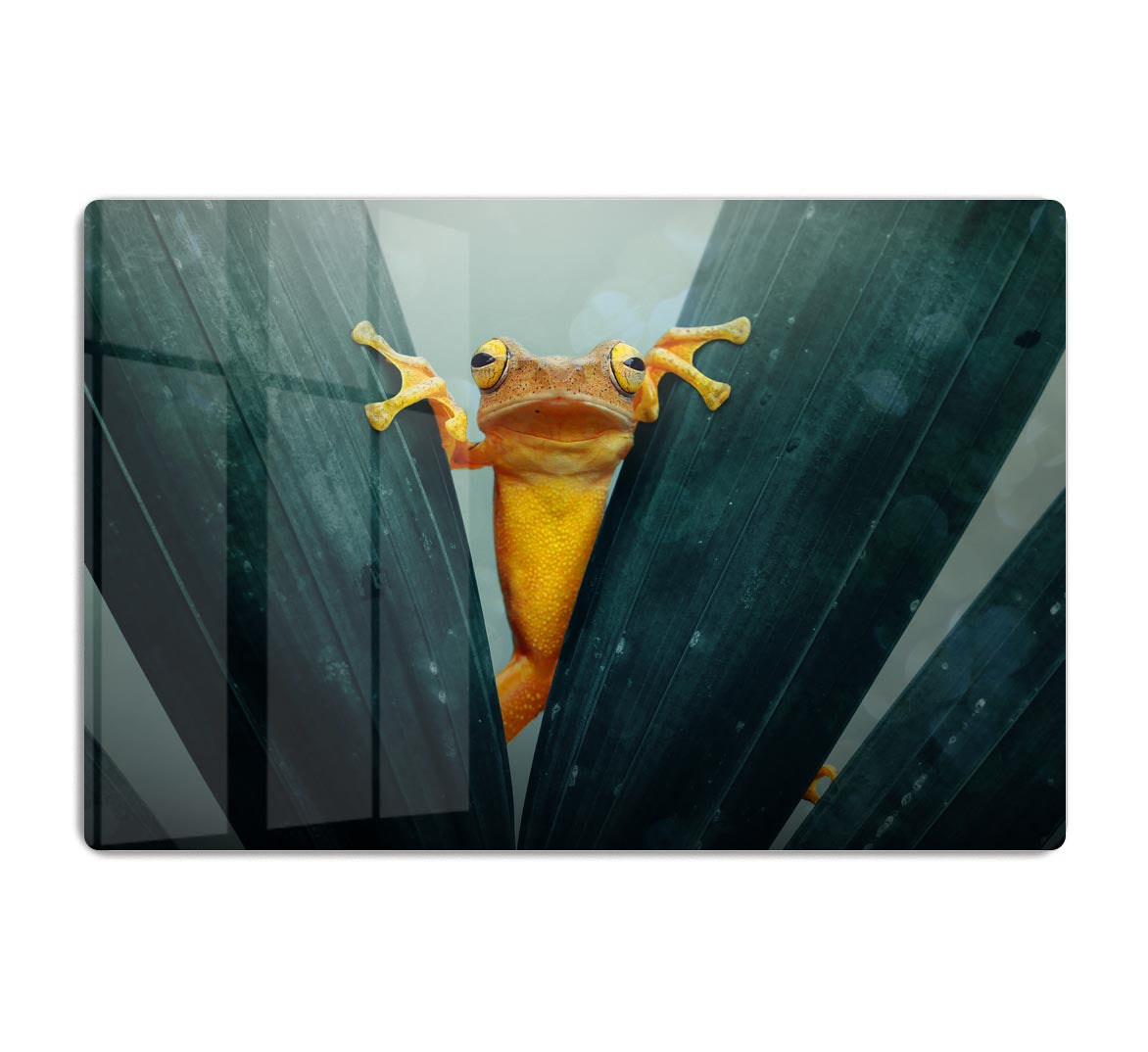 Gold Frog Acrylic Block - 1x - 1
