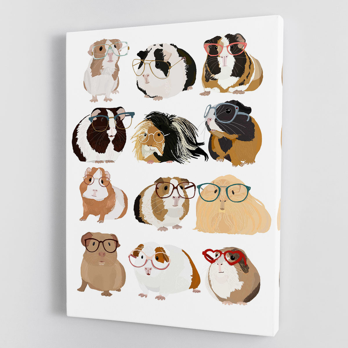 Guinea Pig in Glasses Canvas Print or Poster - 1x - 1