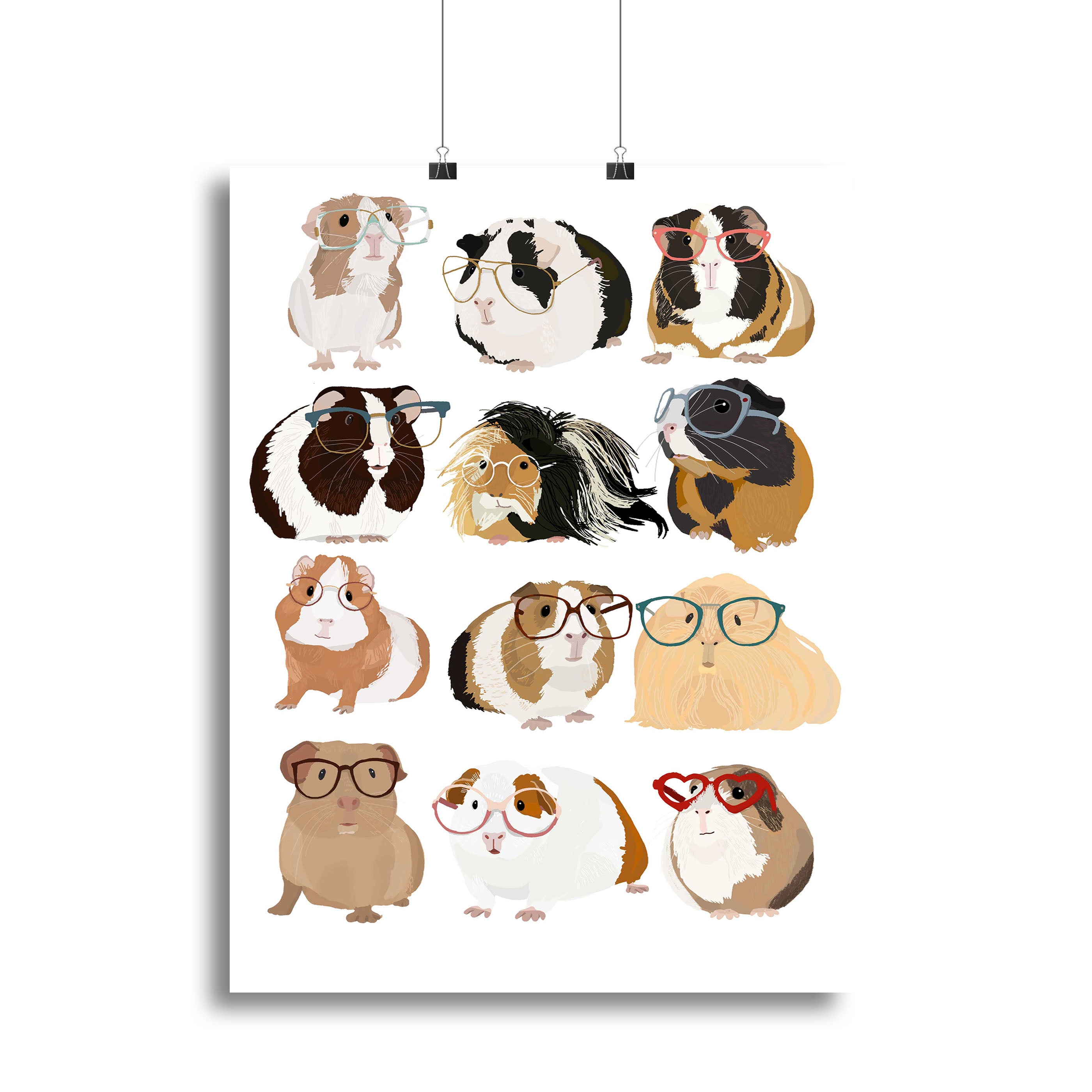 Guinea Pig in Glasses Canvas Print or Poster - 1x - 2