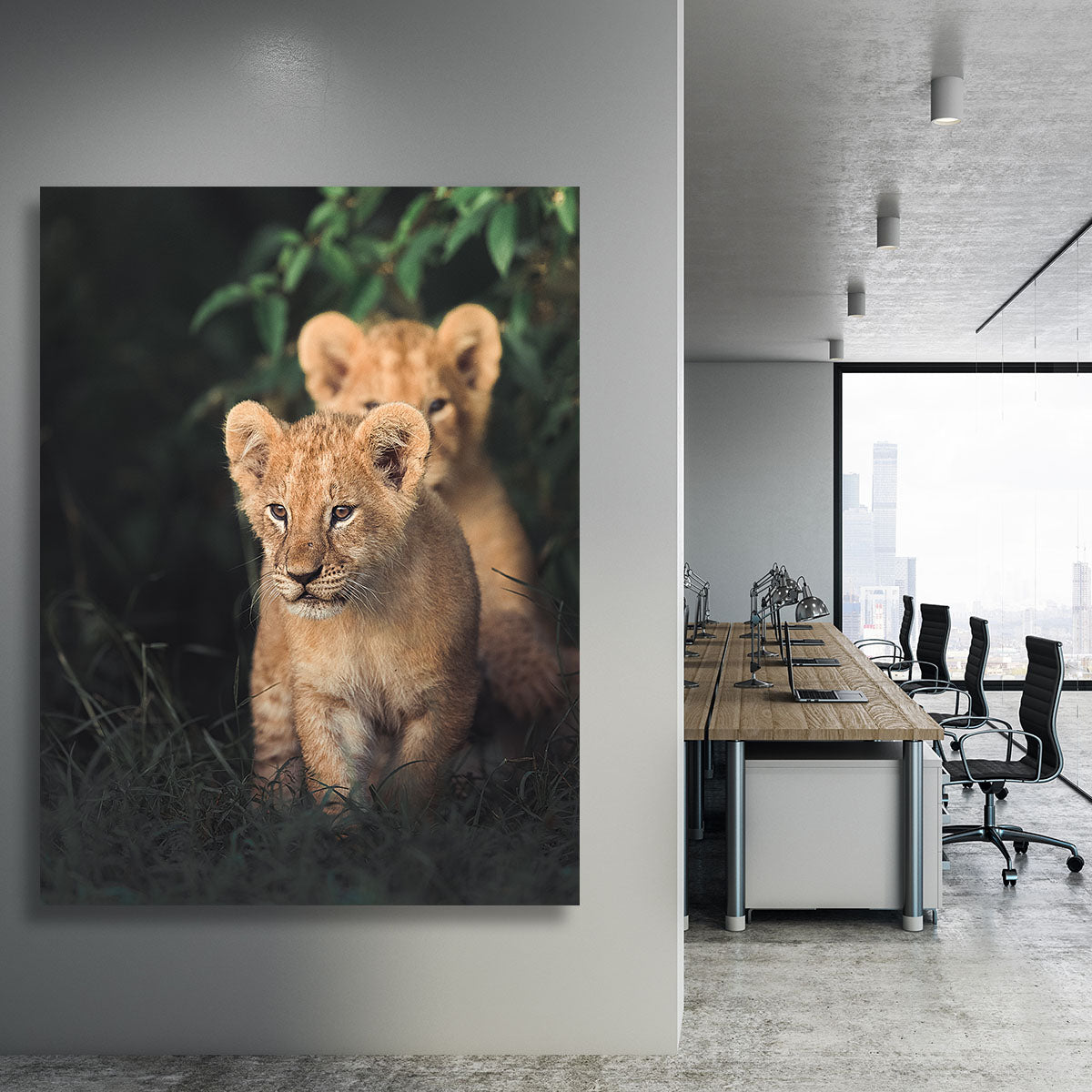 Lions Cub Canvas Print or Poster - 1x - 3