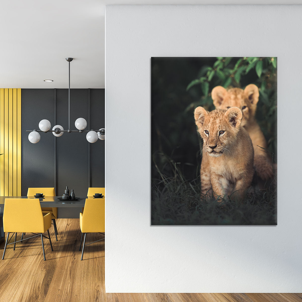 Lions Cub Canvas Print or Poster - 1x - 4
